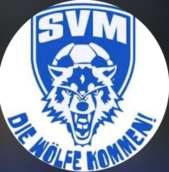 SV Muldental Wilkau-Haßlau