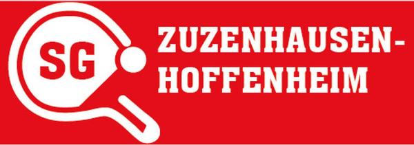 SG-Zuzenhausen/Hoffenheim